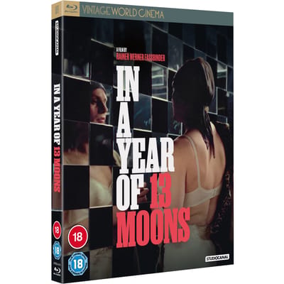 IN A YEAR OF 13 MOONS (VINTAGE WORLD CINEMA)