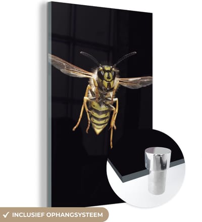 MuchoWow® Glasschilderij 120x180 cm - Schilderij acrylglas - Wesp - Insecten - Portret - Foto op glas - Schilderijen