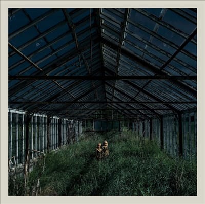 Dealer - Foxing