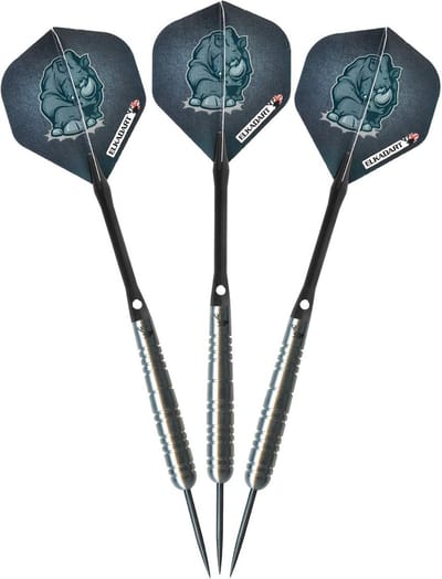 Tungsten Steel Tip Darts - Stalen Pijltjes - Precisie Werpen - 80% Tungsten - 25 gram - Zilver