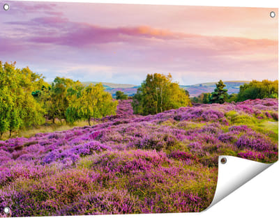 Gards Tuinposter Paarse Weide - 90x60 cm - Tuindoek - Tuindecoratie - Wanddecoratie buiten - Tuinschilderij
