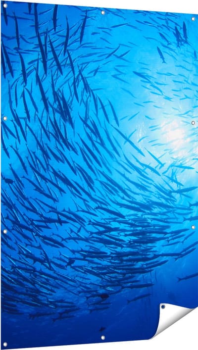 Gards Tuinposter Zwerm Vissen in de Oceaan - 100x150 cm - Tuindoek - Tuindecoratie - Wanddecoratie buiten - Tuinschilderij