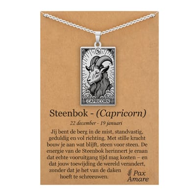Sterrenbeeld Steenbok (Capricorn) Ketting op Cadeau Kaartje Zilverkleurig - Zodiac in de stijl van Rider-Waite Tarot - Roestvrij Staal / Stainless Steel - 60cm - Pax Amare