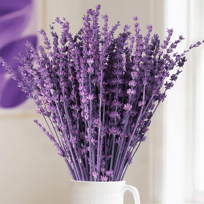 SnelShoppen - 56g Gedroogde Lavendelbloesem Bundel - Geconserveerde Lavendeltakken - Bruiloftstafel Bloemsieraad - Woondecoratie - DIY Knutselwerk - D