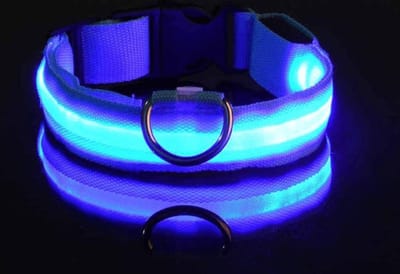 LED Halsband hond - Blauw Led verlichte honden halsband - Maat XL
