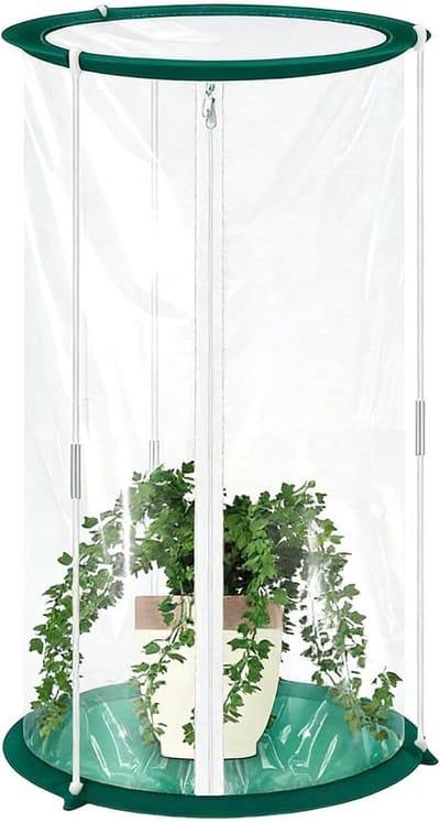 Mini Kas - Plantenhoes Kweekkas - Planten Kweken - Verlengde Groeicyclus - 34 x 31 x 1 cm - Veelkleurig