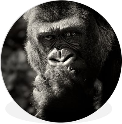 WallCircle® Wandcirkel 60x60 cm - Muurcirkel Gorilla op zwarte achtergrond in zwart-wit - Muurdecoratie woonkamer - Wanddecoratie slaapkamer - Kamer decoratie accessoires - Ronde schilderijen