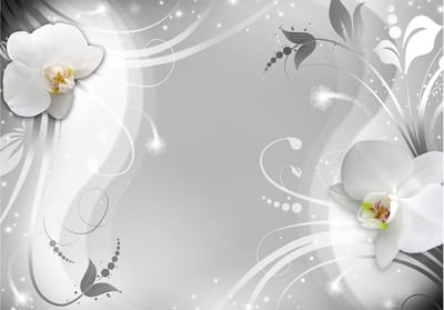 Fotobehangkoning - Behang - Vliesbehang - Fotobehang - Charming orchid - Orchidee - 200 x 140 cm
