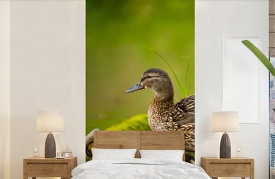 Behang - Fotobehang Eend - Vogels - Water - Tak - Mos - Breedte 120 cm x hoogte 240 cm