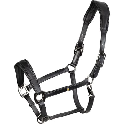 Leren halster voor paarden Equestro