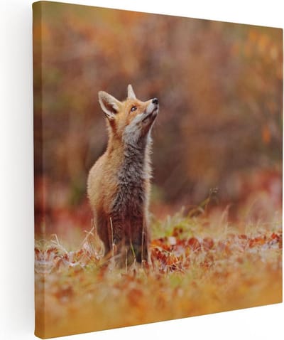 Artaza Canvas Schilderij Vos - 30x30 cm - Klein - Muurdecoratie Dieren - Wanddecoratie Bos - Schilderijen Op Canvas