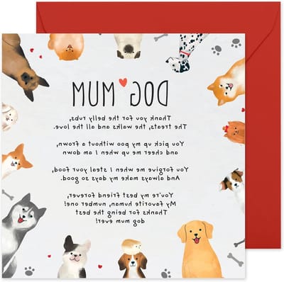 Verjaardagskaart Hond - Grappige Kaart - Verjaardag Vieren - Met Stickers - 120 x 170mm - Niet gespecificeerd