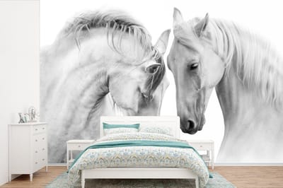 Behang - Fotobehang Paard - Dieren - Portret - Wit - Breedte 525 cm x hoogte 350 cm