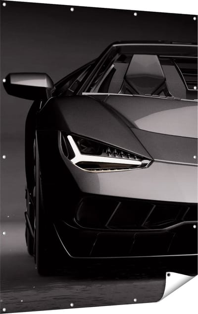 Gards Tuinposter Zwarte Sportwagen Auto - 120x160 cm - Tuindoek - Tuindecoratie - Wanddecoratie buiten - Tuinschilderij