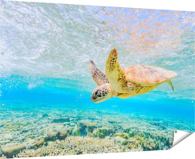 Gards Tuinposter Schildpad Zwemt in de Zee bij het Rif - 180x120 cm - Tuindoek - Tuindecoratie - Wanddecoratie buiten - Tuinschilderij