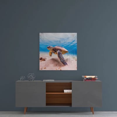 Glasschilderij Zeeschildpad Onderwater – Oceaan Wanddecoratie – Gehard Glas 4 mm