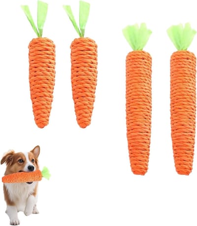 Robuuste kauwspeeltjes voor puppy's - 4-delige set met wortelvormige speeltjes voor tandreiniging en interactief spel voor kleine en middelgrote honden