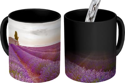 Magische Mok - Foto op Warmte Mokken - Koffiemok - Lavendel - Zonsondergang - Bloemen - Paars - Magic Mok - Beker - 350 ML - Theemok