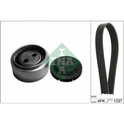 Schaeffler Ina Poly V-riem set INA 529 0087 10