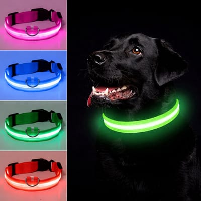 Honden halsband LED - Maat L - USB-oplaadbaar - 100% waterdicht - Groen - Halsband met verlichting - 3 verschillende standen - Lichtgevende hondenhalsband - Super helder licht - Voor huisdieren