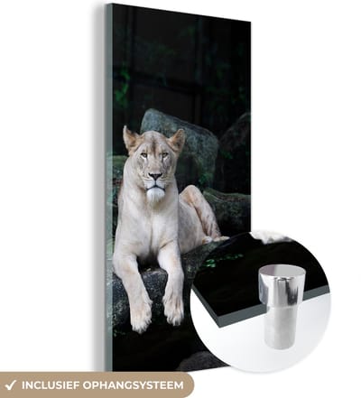 MuchoWow® Glasschilderij 20x40 cm - Schilderij acrylglas - Leeuw - Wilde dieren - Portret - Foto op glas - Schilderijen
