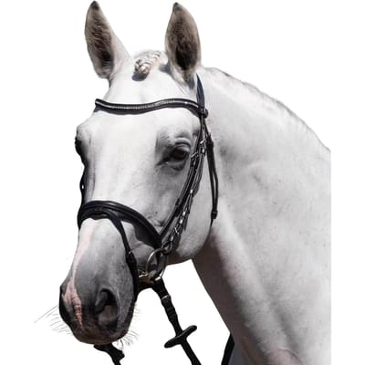 Riem voor paardrijden Premier Equine Rivere