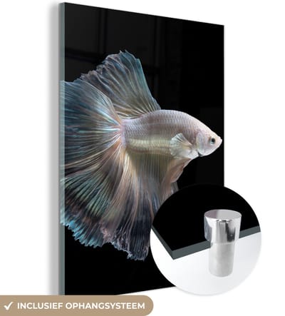 MuchoWow® Glasschilderij 120x160 cm - Schilderij acrylglas - Vis - Staart - Wit - Foto op glas - Schilderijen