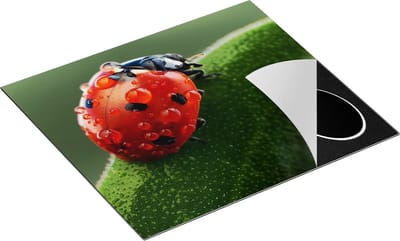 Chefcare Inductie Beschermer Lieveheersbeestje op een Blad met Waterdruppels - 60x50 cm - Afdekplaat Inductie - Kookplaat Beschermer - Inductie Mat