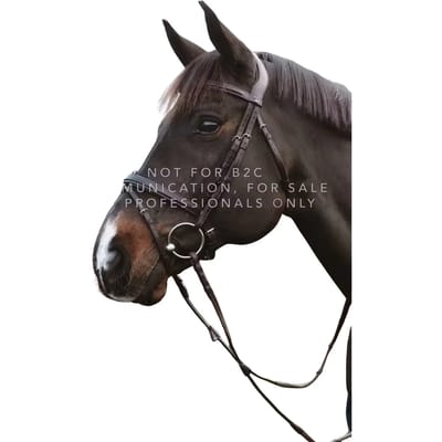 Combiné neusriem voor paard met kettingen Dy'on