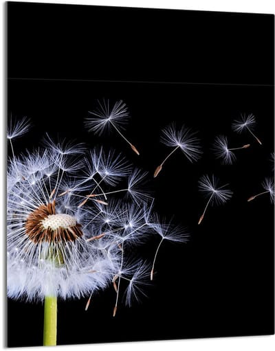 TMK ArtDeko - Snijplank Glas - 40x52 cm - Kleurige Bloemendessin - Snee- en Beschermpaneel