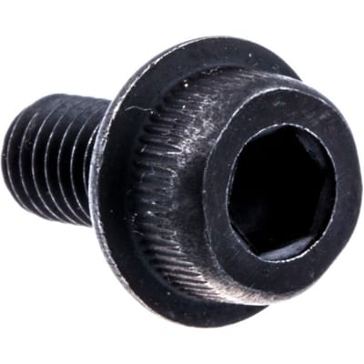 Screw