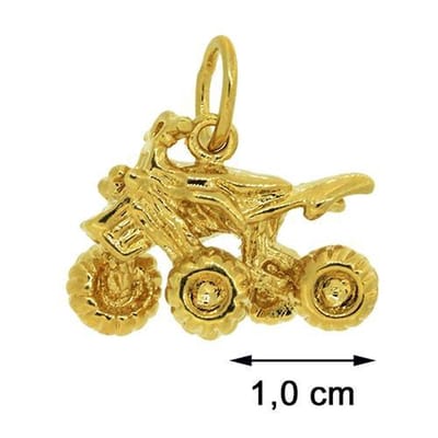 Blinx Jewels Vergulden Hanger Quad