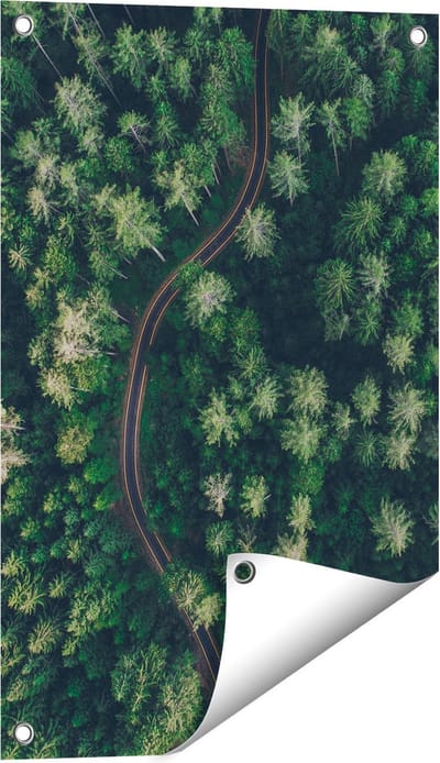 Gards Tuinposter Weg Door Bos met Bomen - Bovenaanzicht - 40x60 cm - Tuindoek - Tuindecoratie - Wanddecoratie buiten - Tuinschilderij