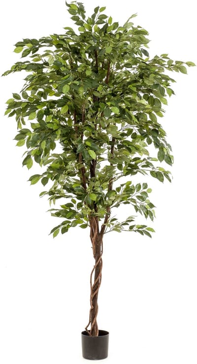 Emerald - Kunstboom Ficus Deluxe Vine 200cm - Kunstplant voor binnen
