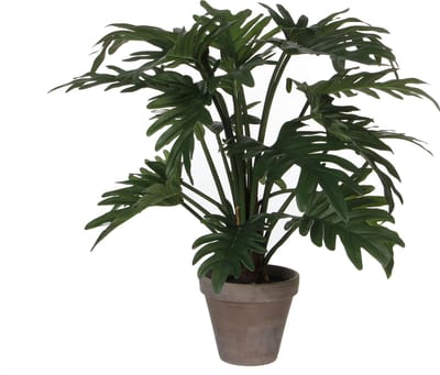 Mica Decoration kunstplant Philodendron - groen - H50 en D60 cm - Kamer/kantoor planten