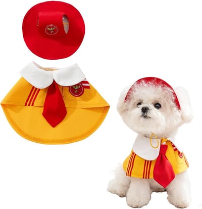 Zomercape voor kleine huisdieren met marineblauwe kraag, ideaal voor Halloween en feestjes, comfortabele cosplay-outfit voor honden en katten (oranje + rood, S)