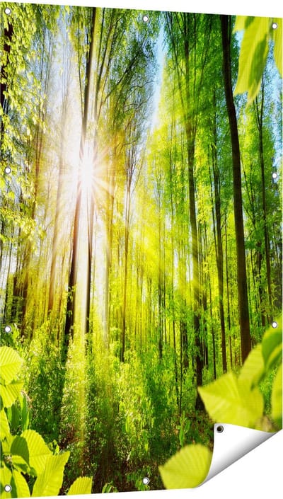 Gards Tuinposter Weg Omringd met Bomen in het Bos - 80x120 cm - Tuindoek - Tuindecoratie - Wanddecoratie buiten - Tuinschilderij