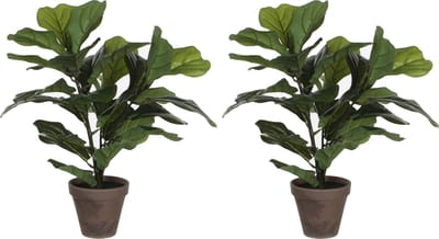 Mica Decorations Kunstplant Ficus - 2x stuks - Lyrate - 45 cm - groen - voor binnen - kunstplanten met pot