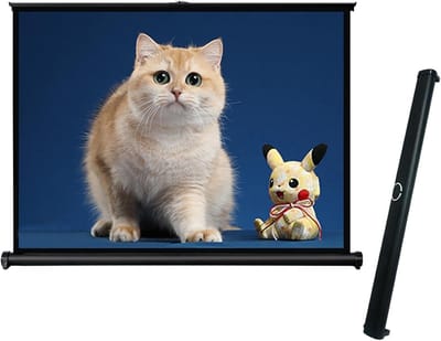 Projectiescherm - Draagbaar Scherm - Thuisbioscoop - Handmatig Neerklapbaar - 30-50 Inch