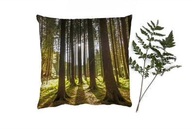 Sierkussens - Kussentjes Woonkamer - 40x40 cm - Boom - Natuur - Zon - Bos