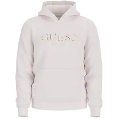 Guess Basic Hoodie Grijs S Man