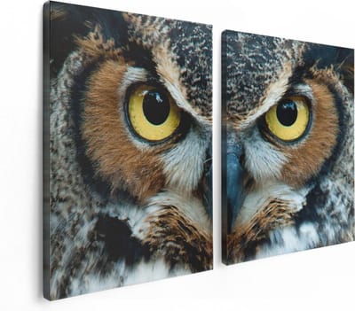 Artaza Canvas Schilderij Tweeluik Uil Kop Met Gouden Ogen  - 120x80 - Foto Op Canvas - Canvas Print