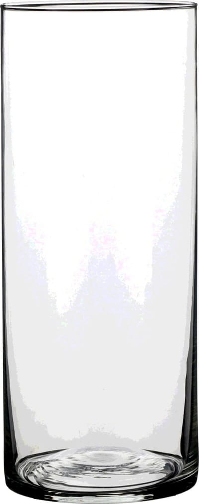 Mica Decorations Vaas - cilinder - helder glas - D12 x H30 cm - Bloemenvaas