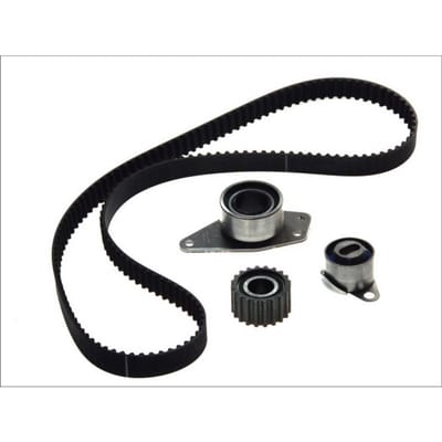 Distributieriemset SKF VKMA 06125
