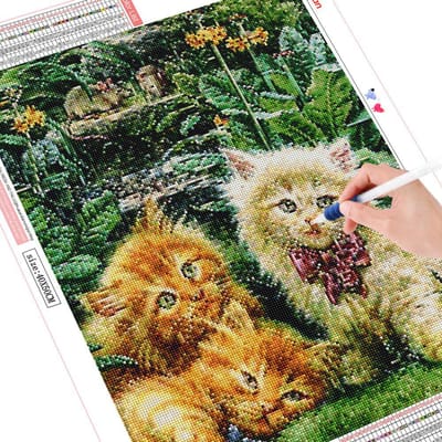 5D Diamond schilderij kat Kit volledige vierkante ronde diamant borduurwerk dier mozaïek muis Strass foto's Home Decor Full Square 20X30CM
