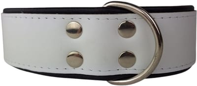 Dog's Companion - Leren hondenhalsband wit / zwart - Leren hondenhalsband wit / zwart