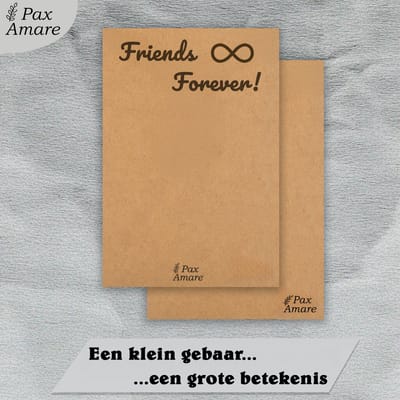 BFF Ketting voor 3 ' Friends Forever' - Magnetisch Glitter Hartje - Vriendschapsketting op Cadeau Kaartje - 45cm + 5cm verstelbaar - Zilverkleurig - Best Friends Hanger - Pax Amare