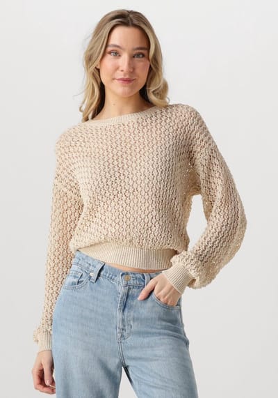 AAIKO Jaylee Co 460 Truien & vesten Dames - Sweater - Hoodie - Vest- Beige - Maat XL
