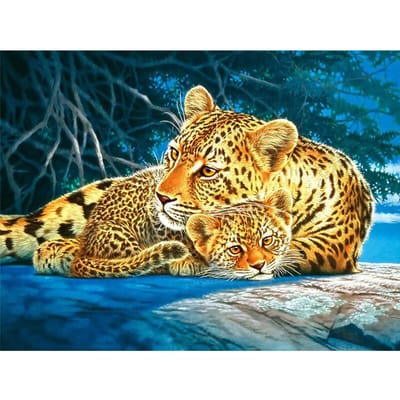 5D Diy Daimond Schilderen Volledige Ronde Steentjes Diamant Schilderij Borduren  Gouden Luipaard 20X30CM multi