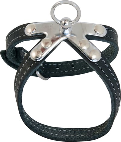 Jack And Vanilla - Tuigjes - Vetleder Springtuigje - Zwart - 10mmx40cm 47/0013 - 177774